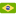 an icon of brazil flag
